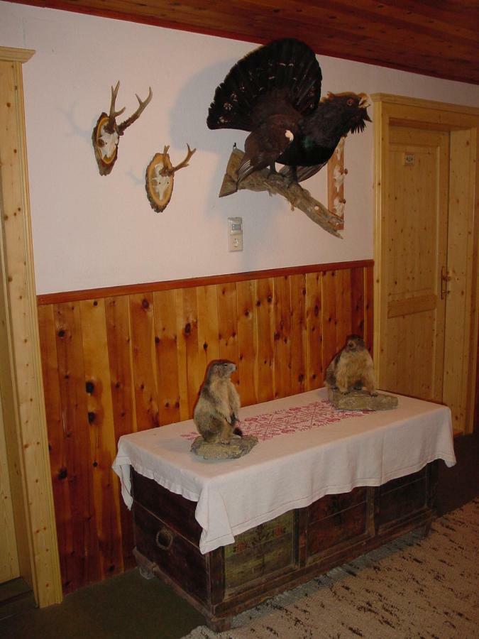 Pension - Bauernhof Sankt Lorenzen ob Murau Exteriör bild